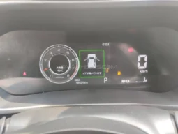 
										Toyota Raize Z full									